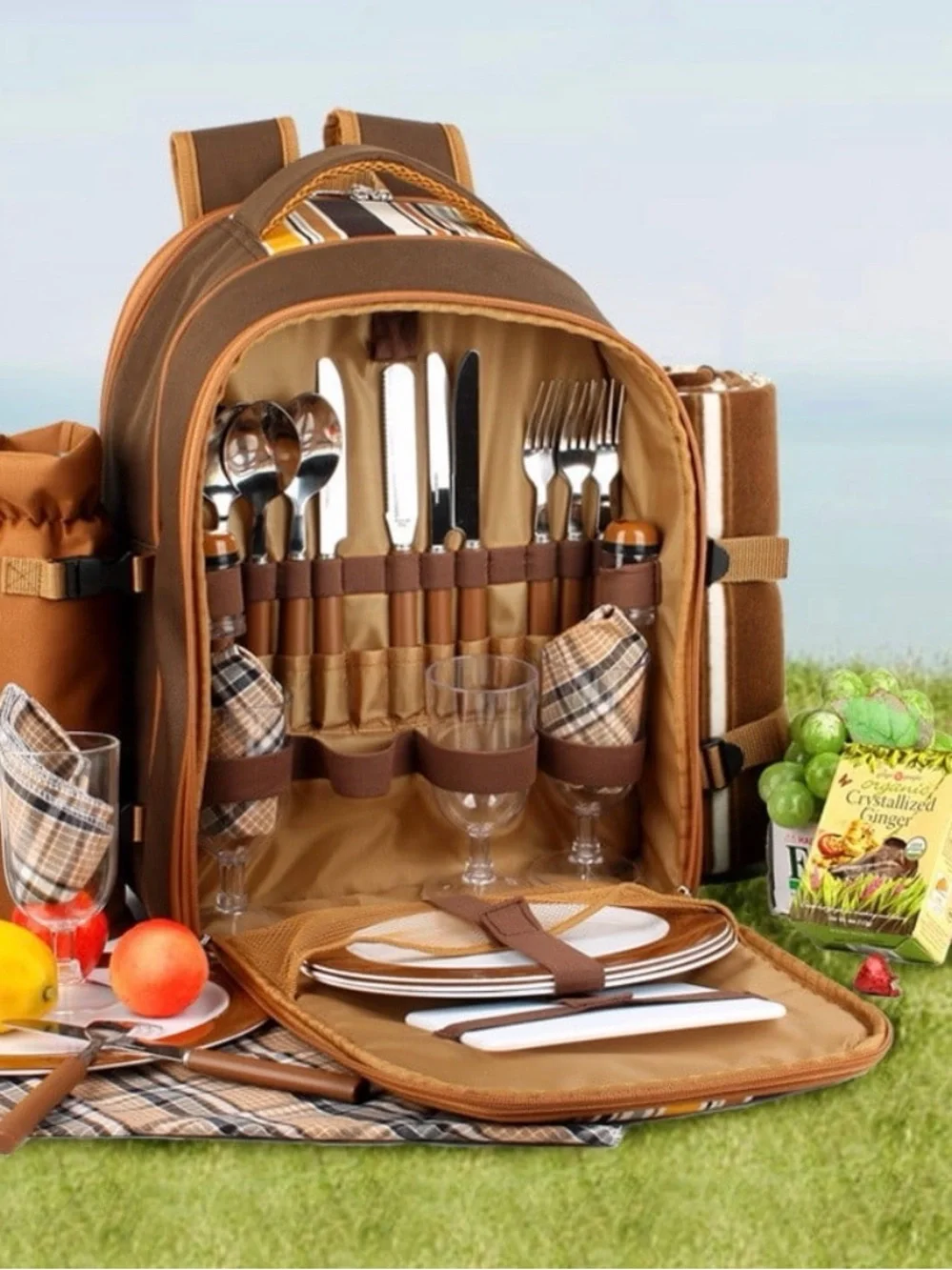 Brown Picnic Backpack NWT